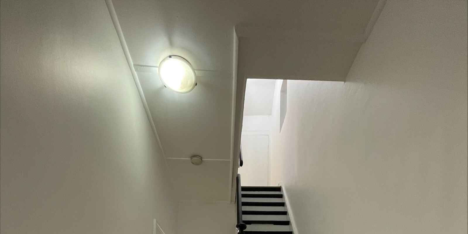 8A BAILEY STREET Newtown