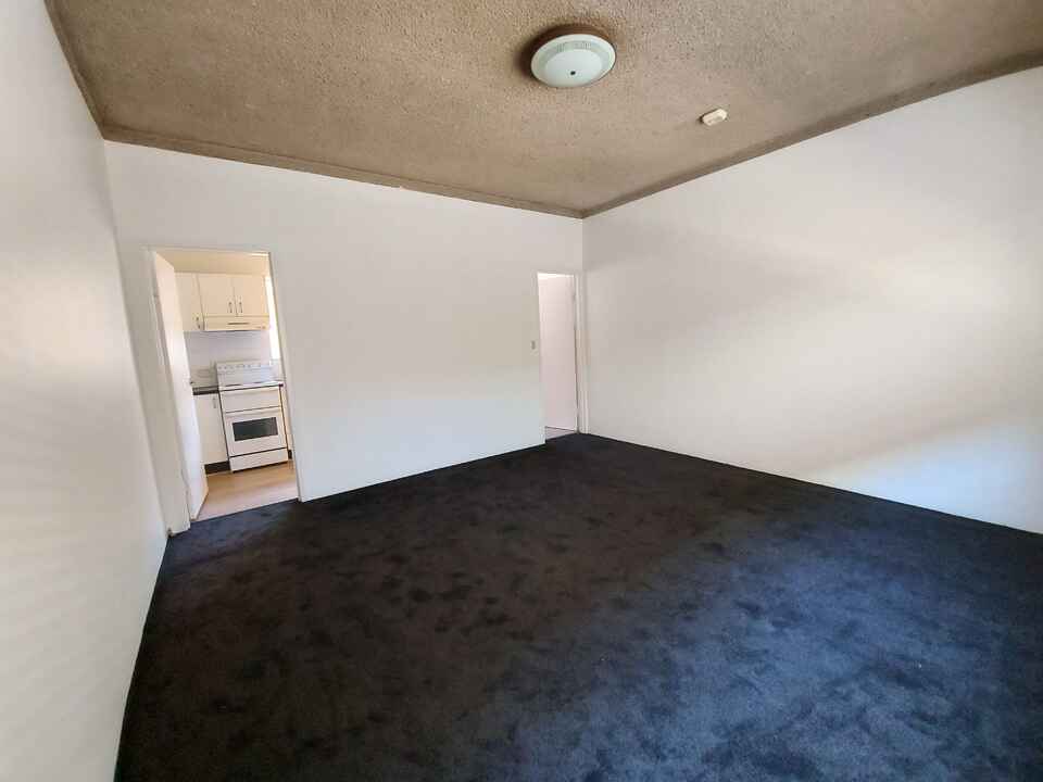 2/41 Lord Street Newtown