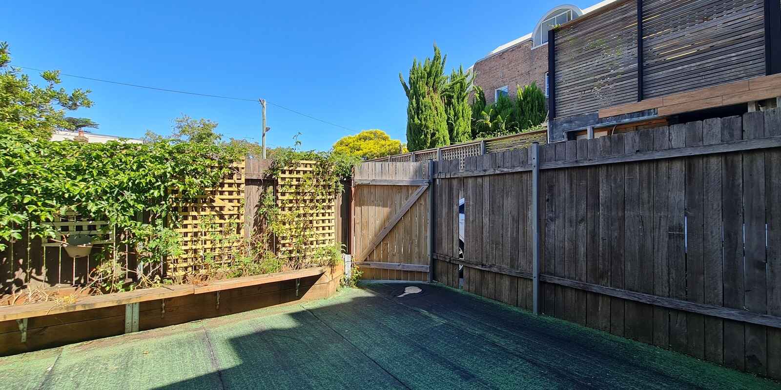 77 Wilson Street Newtown