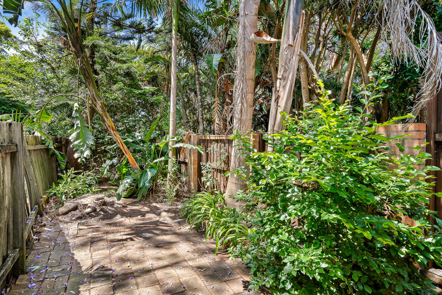 126 UNION STREET Erskineville