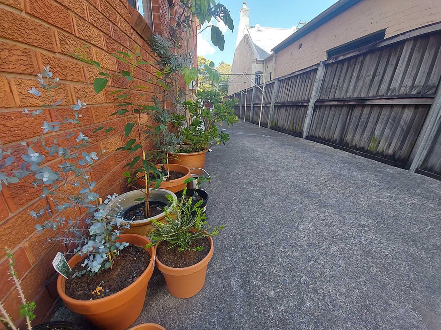 11/41 LORD STREET Newtown