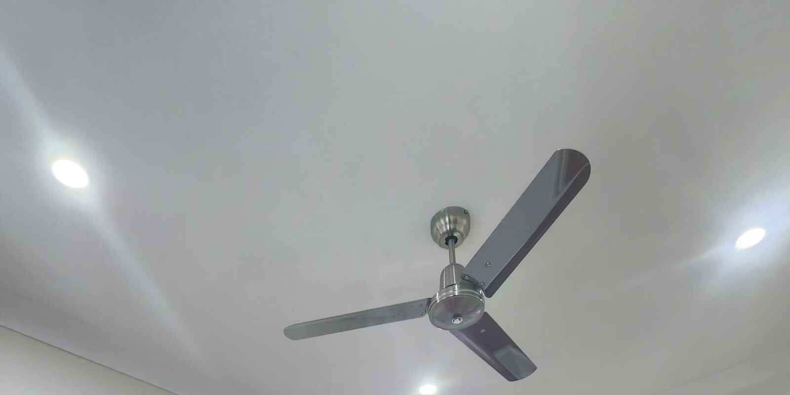 165 Probert Street Newtown 165 Probert Street Newtown