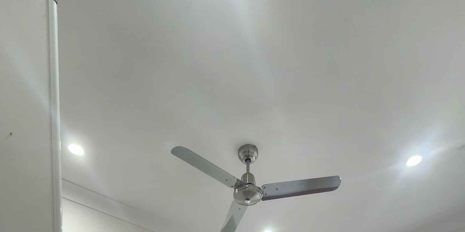 165 Probert Street Newtown 165 Probert Street Newtown