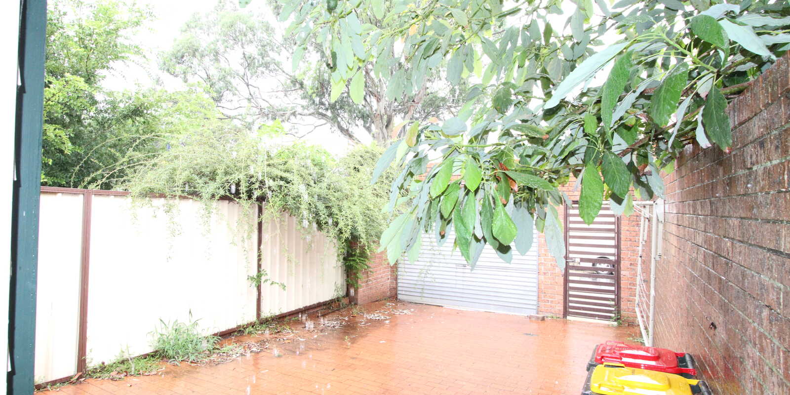 365 Cleveland Street Surry Hills