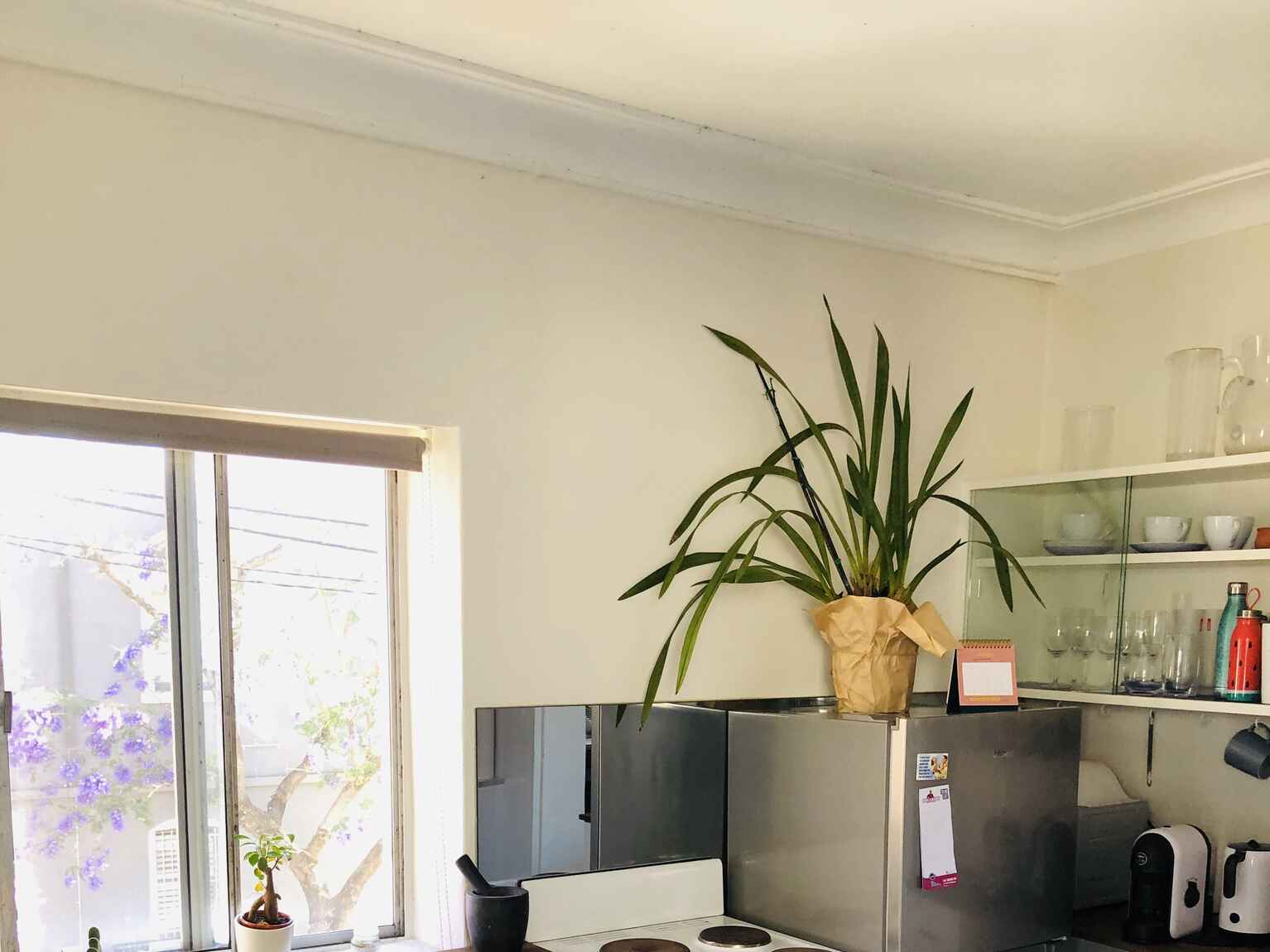 1/22 Bridge Street Erskineville