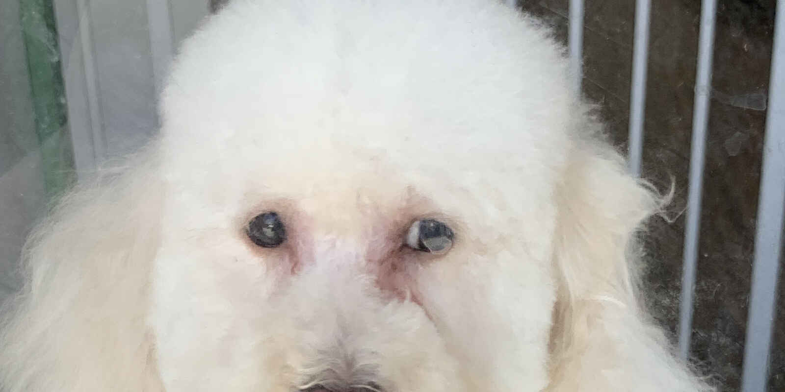 57 Enmore Road Newtown