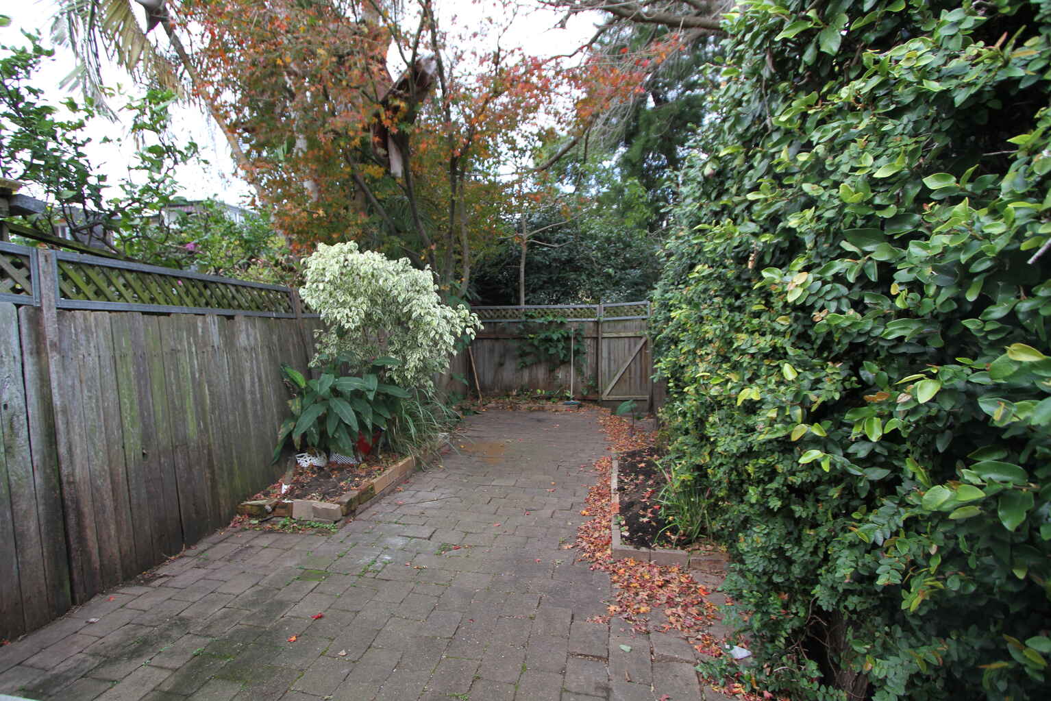 40 Angel Street Newtown