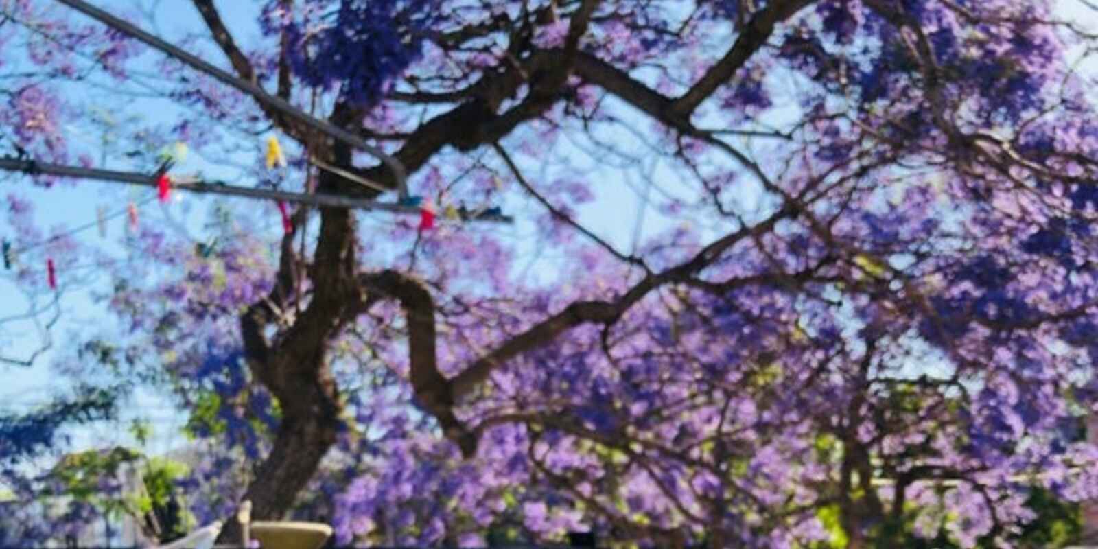 2/22 Bridge Street Erskineville