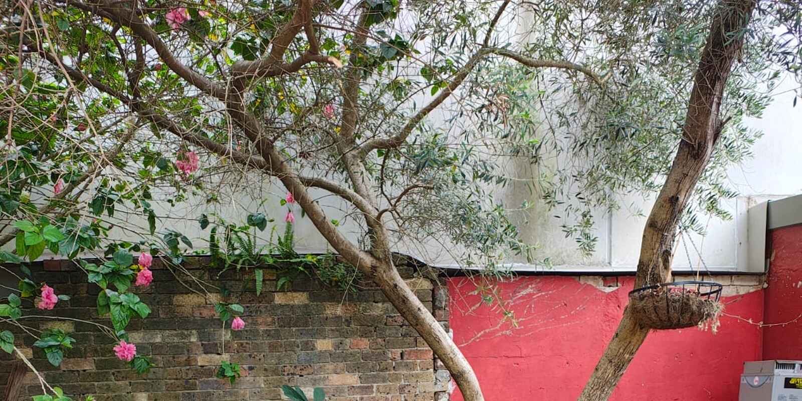324 Stanmore Road Petersham